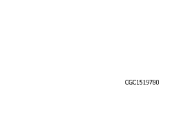 Kelly Brothers, Inc.
